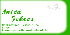 anita fekecs business card